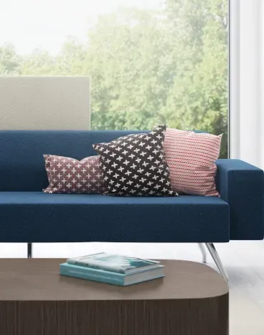 Accent Pillows